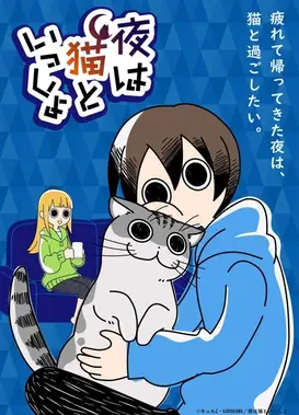 关于养猫我一直是新手