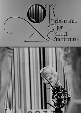 过时的解剖彩排