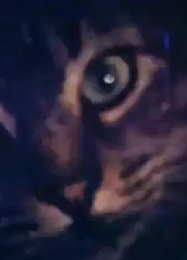 火车是用来做梦的