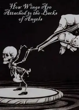 天使羽翼的诞生
