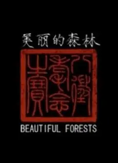 美丽的森林