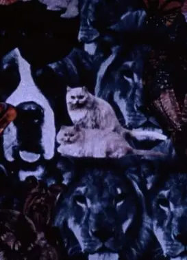 You’re Not Real Pretty but You’re Mine…