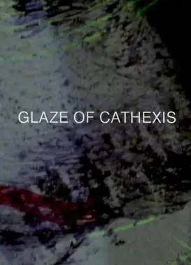 全神贯注的凝视