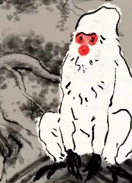 猴子和小偷