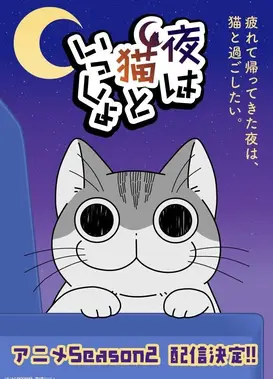 关于养猫我一直是新手 第二季