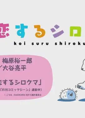 恋するシロクマ 「禁断の恋」篇