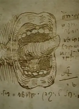 莱昂纳多的日记