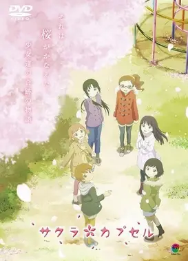 樱花树下的时间胶囊