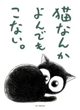 为什么猫都叫不来