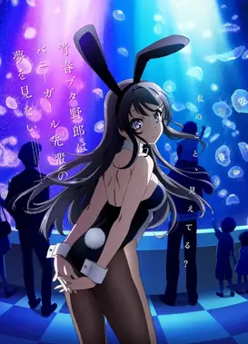 青春笨蛋少年不做兔女郎学姐的梦