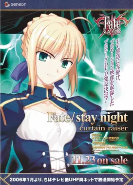 Fate/stay night curtain raiser