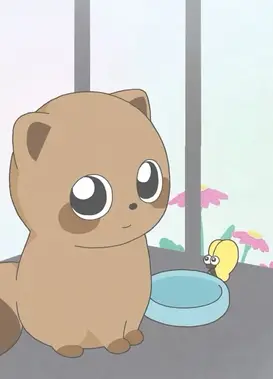 我和狸猫的约定