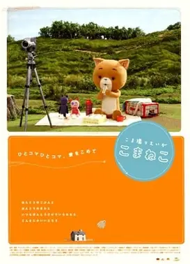 追逐拍摄的可玛猫